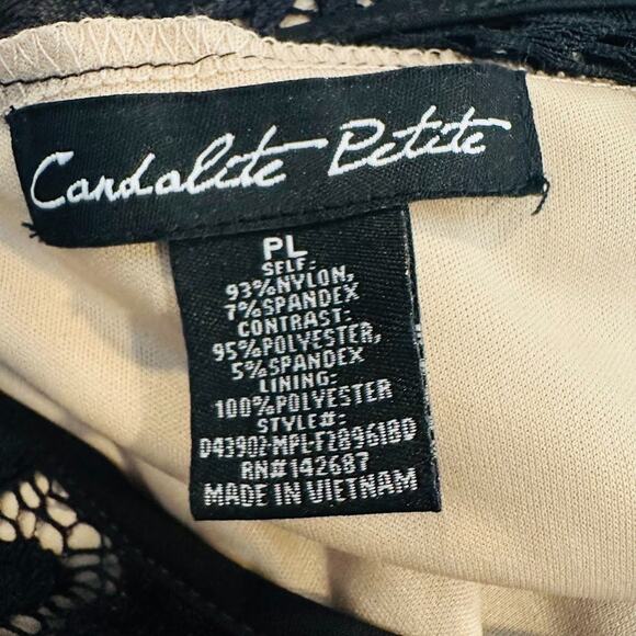 Candalite Evening Gown Dress Petite Large PL Black Lace Maxi Whimsigoth Fairy - Picture 8 of 9